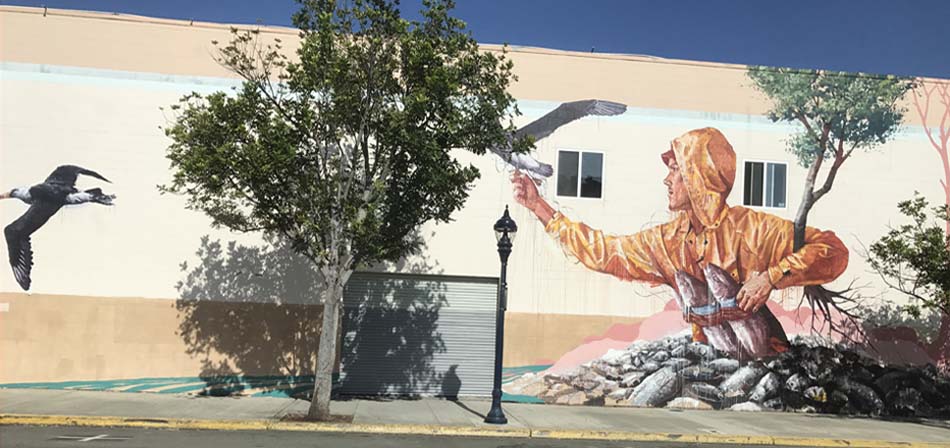 Hunger, by Fintan Magee, San Diego